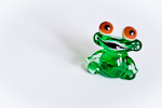 Glass Frog